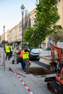 Végétalisation urbaine, une démarche écologique, économique et salutaire