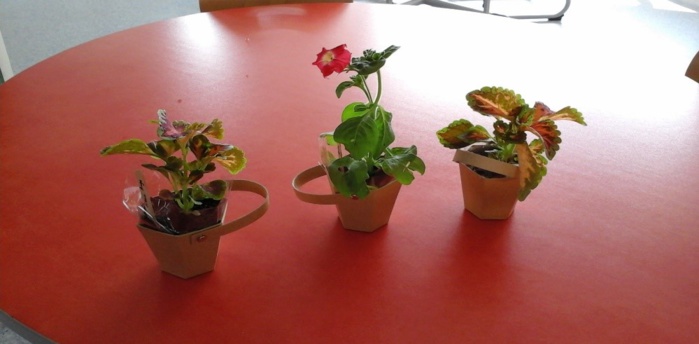 Ateliers spécial fête des mères Ateliers spécial fête des mères