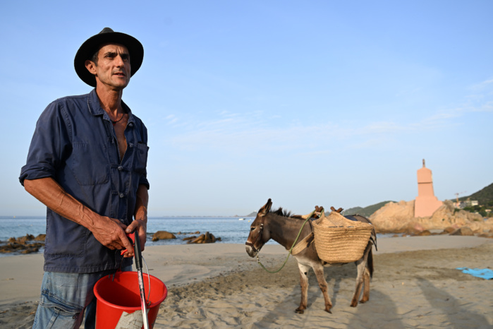 En avant la traction animale ! En avant la traction animale !