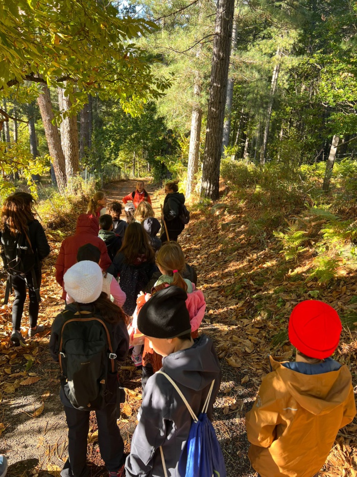 I zitelli di i centri d'asgi in Savaghju I zitelli di i centri d'asgi in Savaghju