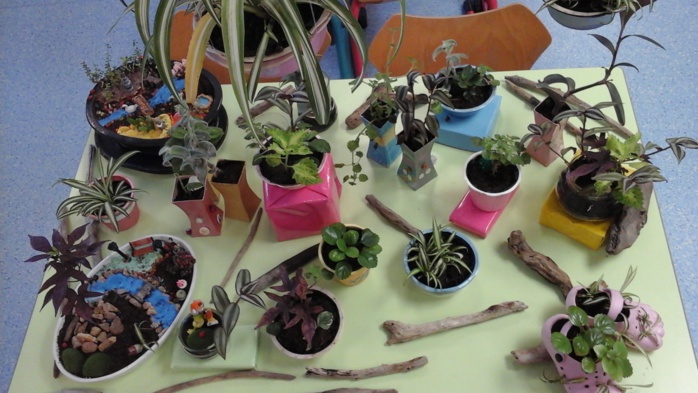 Atelier « jardin d’intérieur » et « calendrier de l'avent » durant les temps périscolaires Atelier « jardin d’intérieur » et « calendrier de l'avent » durant les temps périscolaires