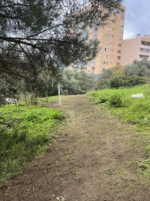 Sentier direction l'héliport Sentier direction l'héliport