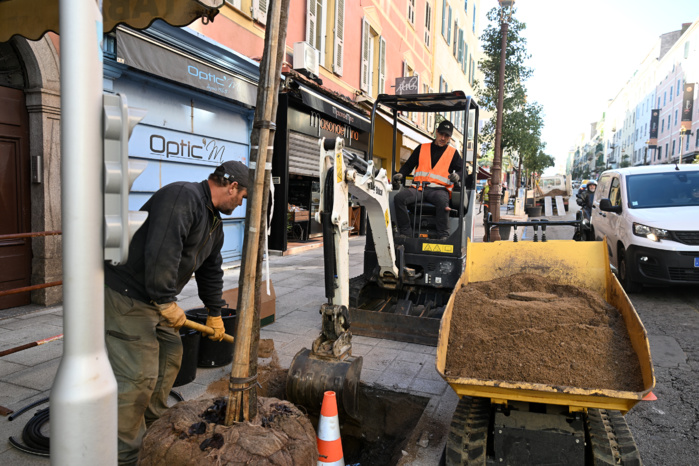 Clap de fin pour la campagne de végétalisation du cours Napoléon