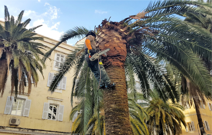 Visite du chantier de Requalification de la place Foch et de l’avenue du Premier consul Visite du chantier de Requalification de la place Foch et de l’avenue du Premier consul