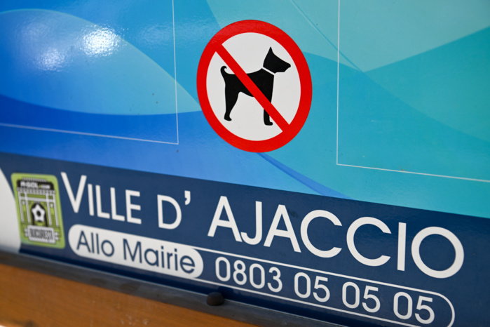 Déjections canines sur les plages : une question de civisme