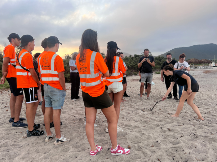 Les tortues marines sous l’œil bienveillant des agents de la Ville