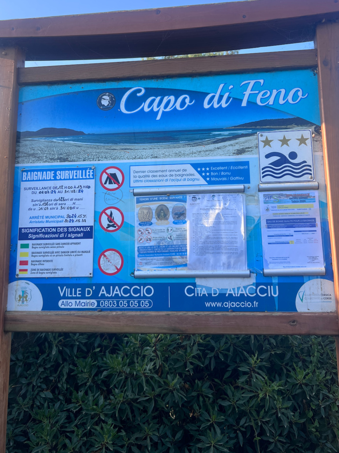 Les tortues marines sous l’œil bienveillant des agents de la Ville Les tortues marines sous l’œil bienveillant des agents de la Ville