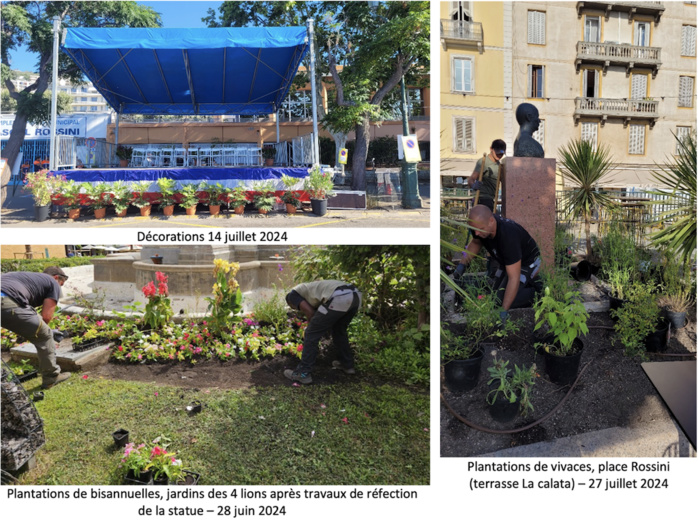 Pépinière municipale : un outil au service de la stratégie de végétalisation de la ville