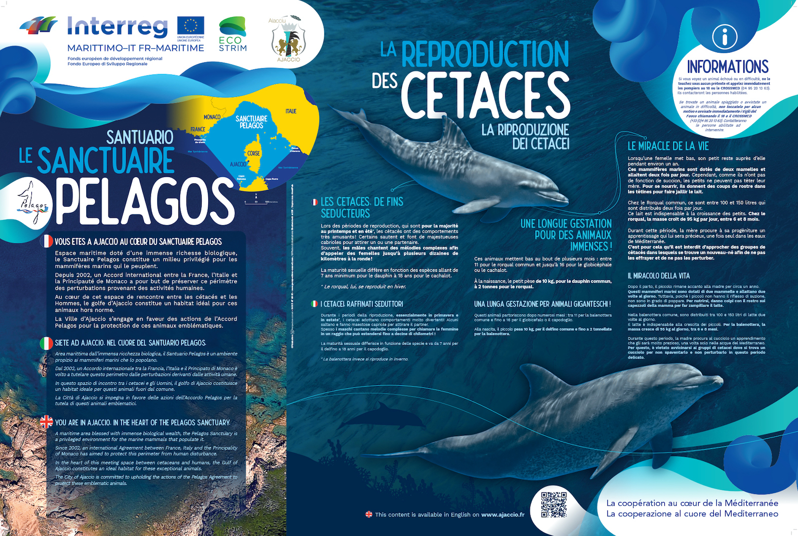 Ajaccio au coeur de Pelagos