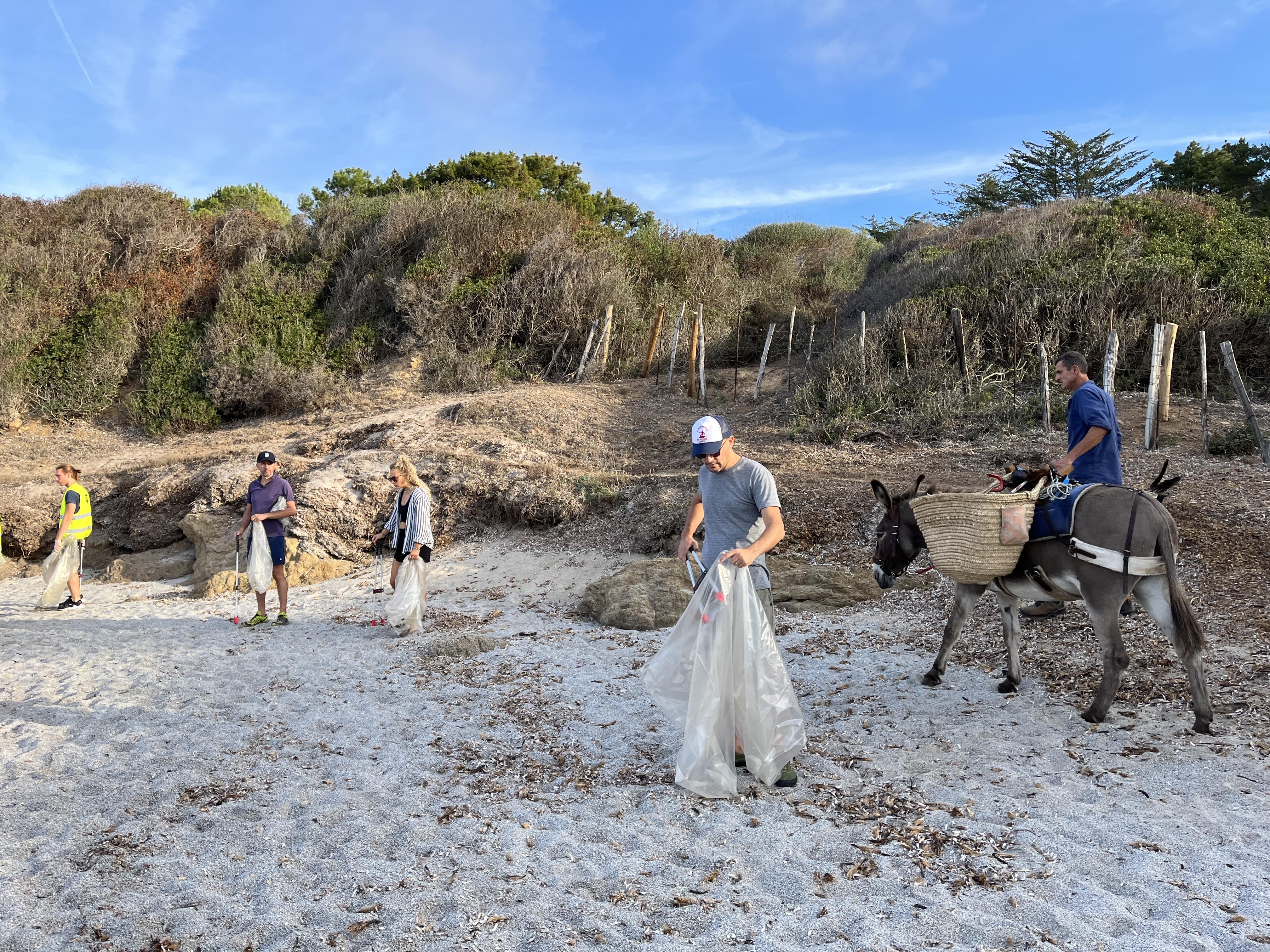 Les participants de l'opération ont été répartis entre la grande plage de Capo et ses criques environnantes.