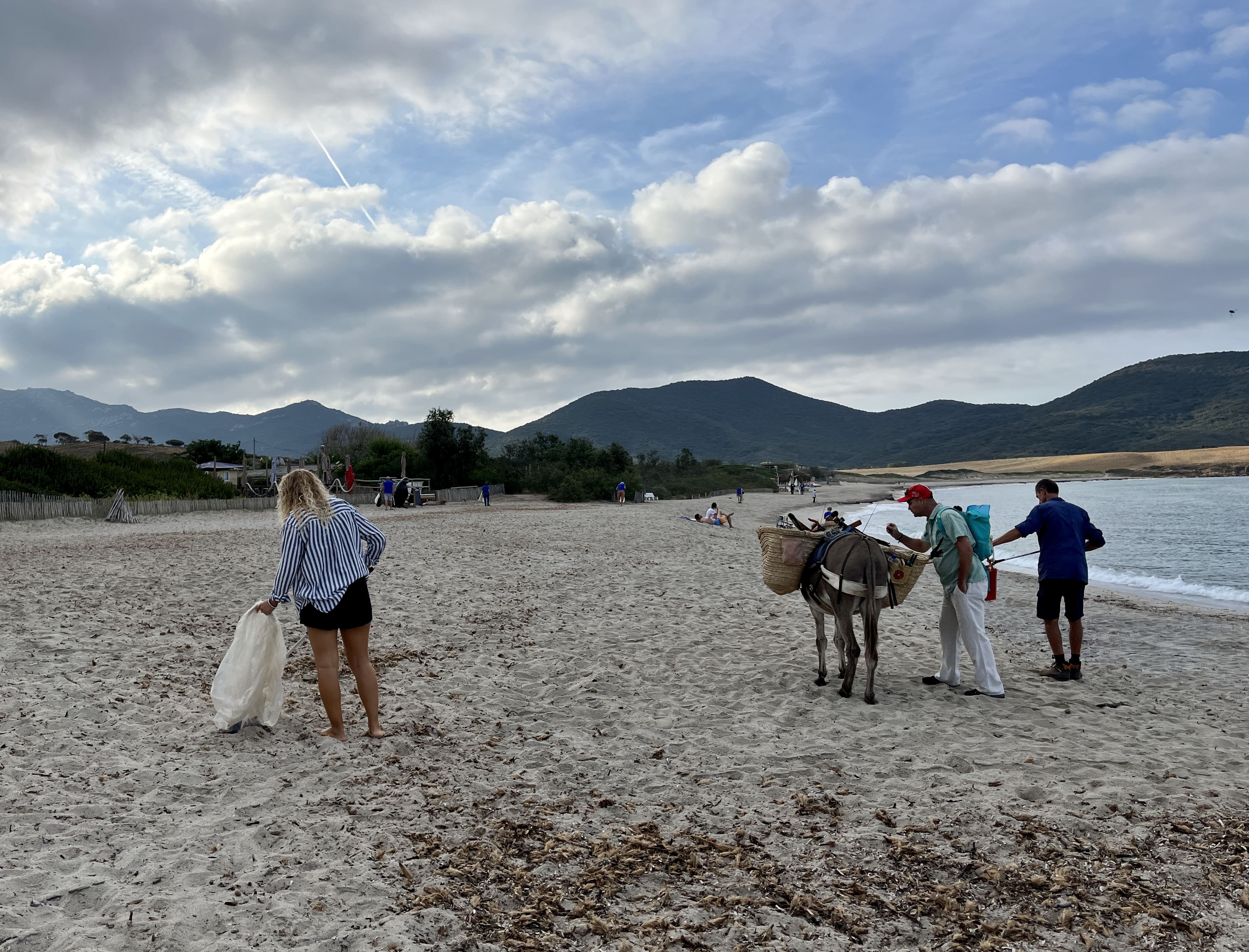 L'âne peut transporter plus de 50 kilo de déchets. L'herbes de posidonie est également préservée.