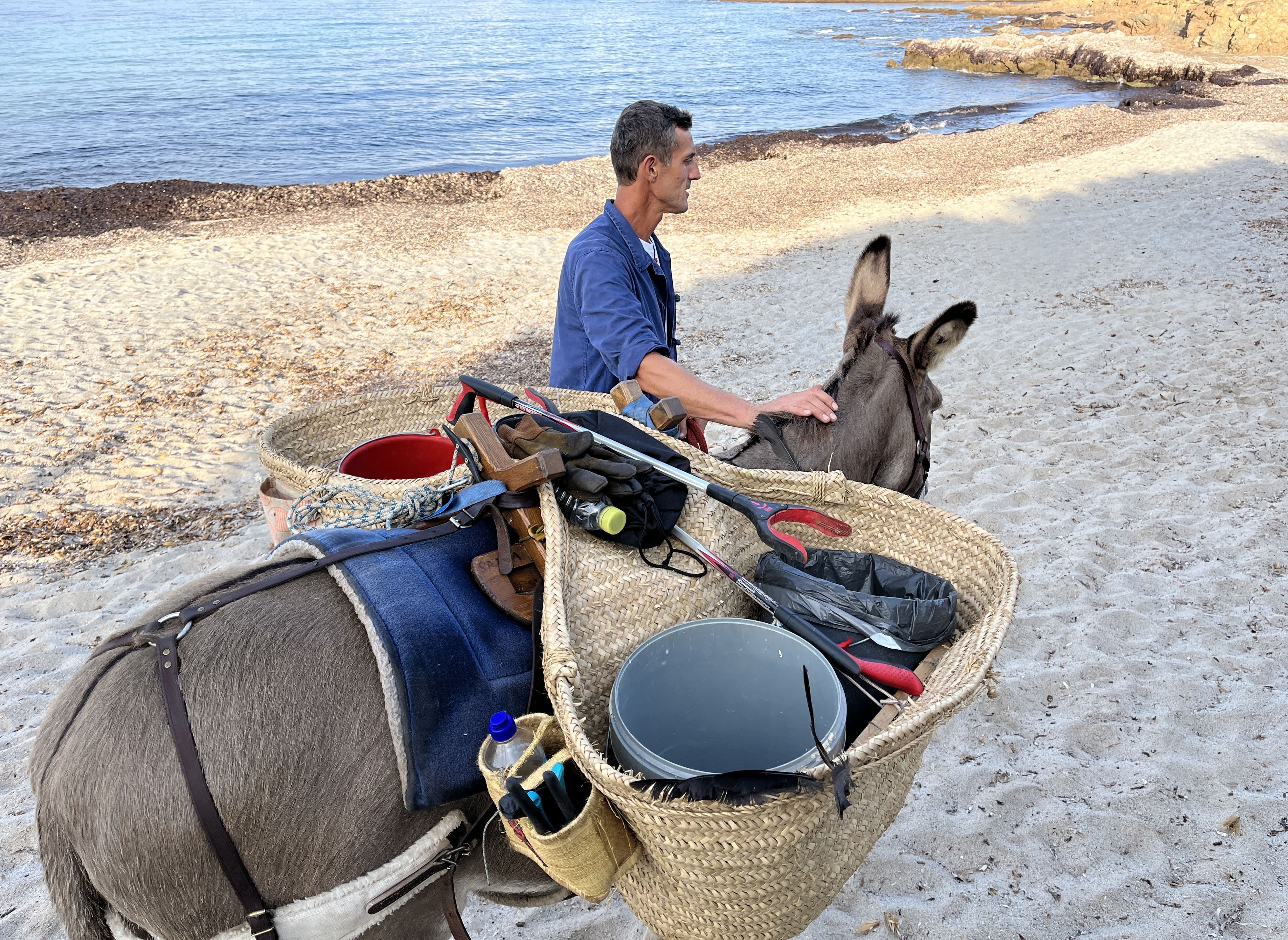 Sébastien Ziller s'assure toujours du bien être de l'animal durant ses opérations.