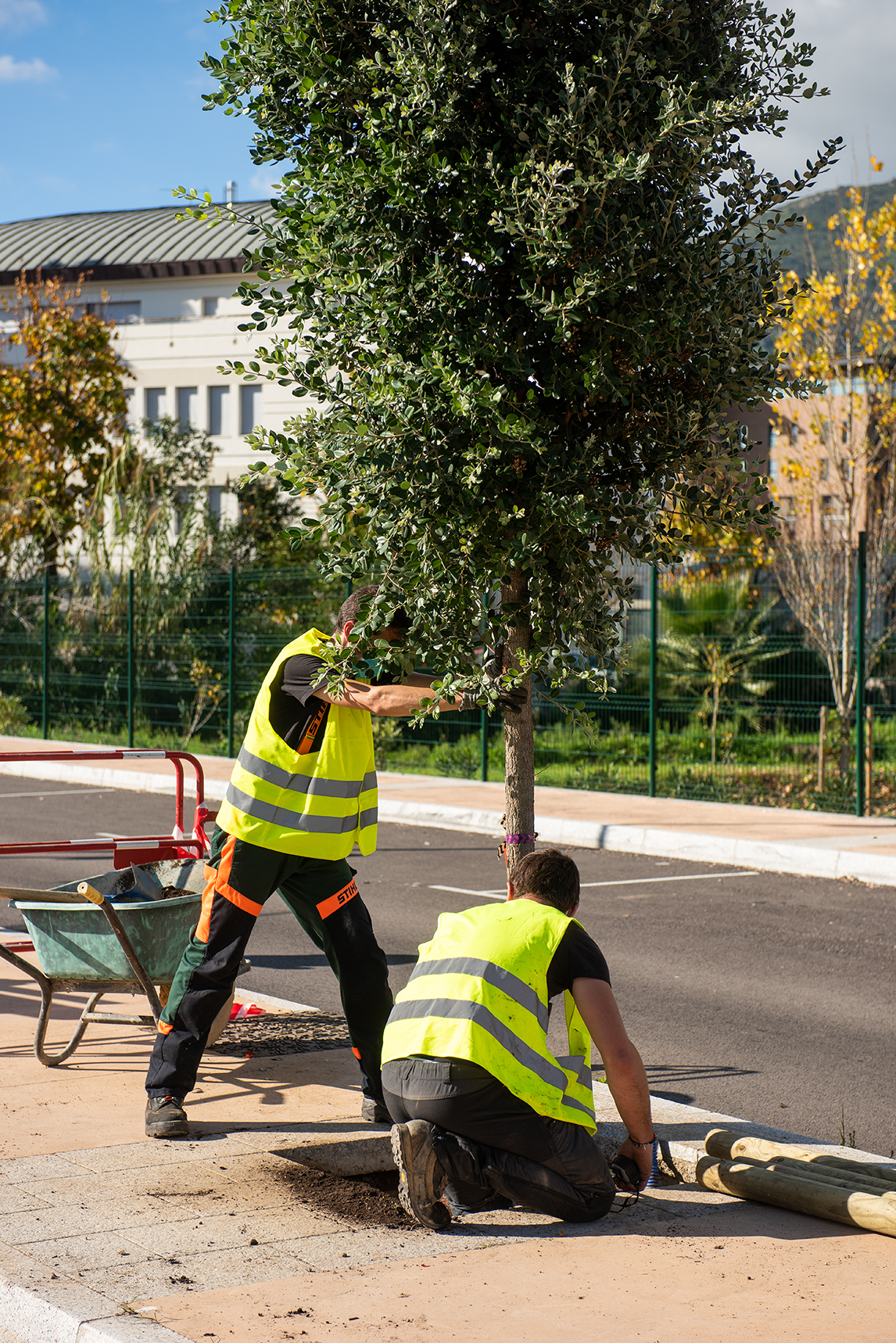 Végétalisation urbaine, une démarche écologique, économique et salutaire