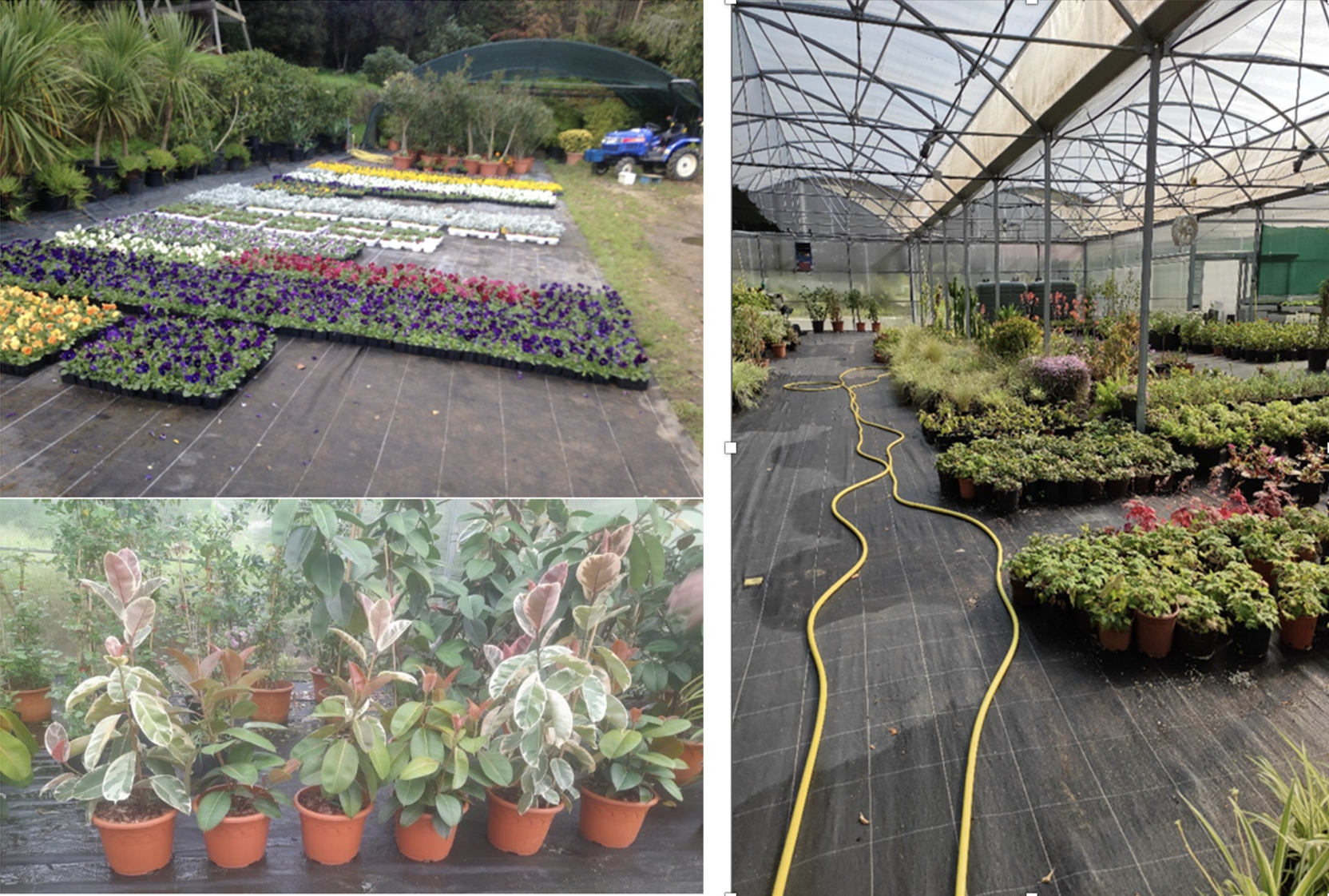 Production en pépinière 2023-2024