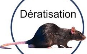 Campagnes de dératisation