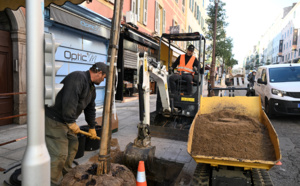 Clap de fin pour la campagne de végétalisation du cours Napoléon