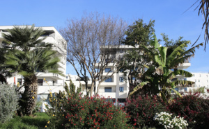 Espaces végétalisés : un arrosage optimisé