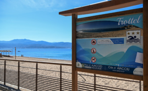 Déjections canines sur les plages : une question de civisme