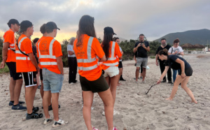 Les tortues marines sous l’œil bienveillant des agents de la Ville