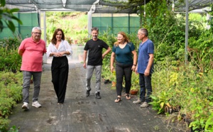 Pépinière municipale : un outil au service de la stratégie de végétalisation de la ville