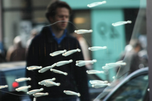 Eleifend option congue nihil imperdiet doming id