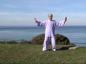 Dao yin yang sheng gong - Nourish the blood, tonify Qi.mp4