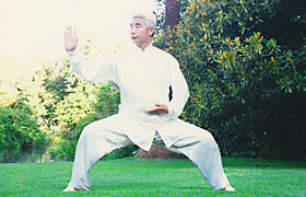 Stage de Taichi Qigong du 18 au 29 octobre 2012 en Martinique