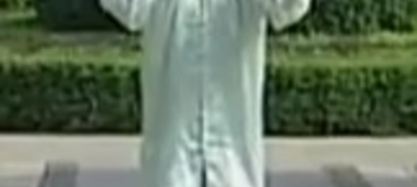 Vidéo Forme pour les Reins version 2 de Zhang Guangde