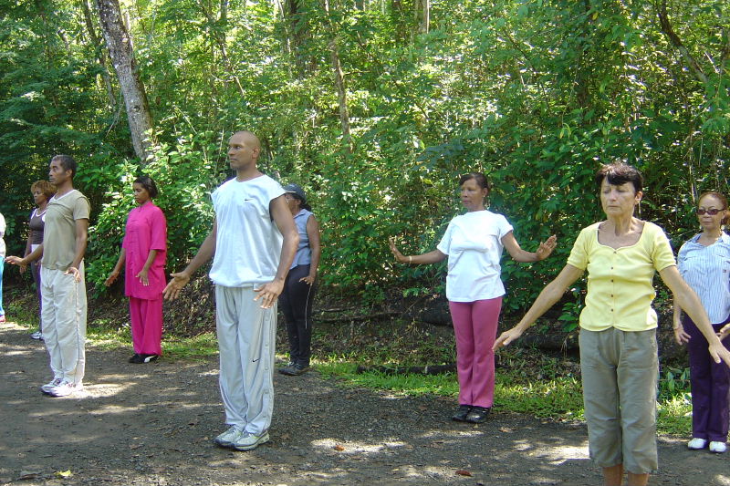 Sortie à la Forêt Vatable