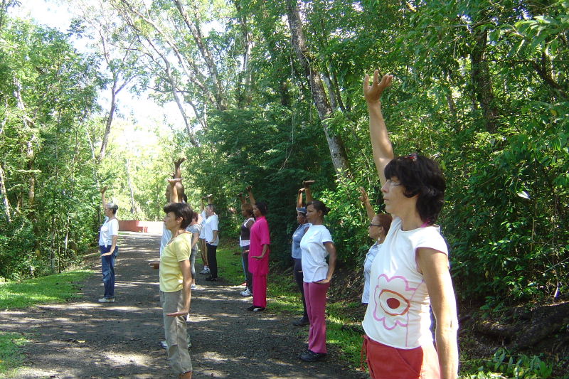 Sortie à la Forêt Vatable 