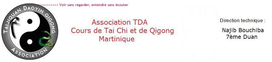 MARTINIQUE TAIJI QUAN DAOYIN QIGONG ASSOCIATION TAICHI MARTINIQUE TAIJI QUAN DAOYIN QIGONG ASSOCIATION TAICHI