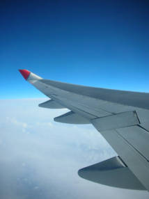 CC Flickr miss vichan