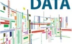 Big Data : Enjeux Stratégiques &amp; Etudes de Cas (2013)