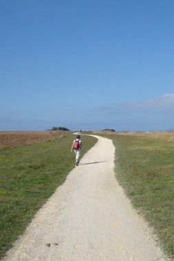 Résumé de la quinzième étape Résumé de la quinzième étape