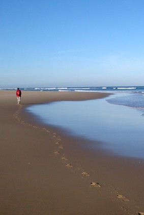 Résumé de la seizième étape Résumé de la seizième étape