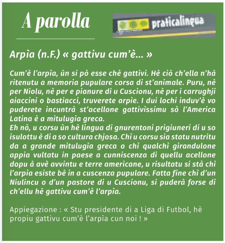 A rubrica di i nostri aderenti in Settimana