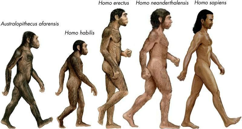 STORIA DI U MONDU: L'Homo Sapiens