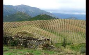 STORIA DI CORSICA-ECUNUMIA: 1968, U Primu AOC Di Corsica