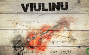 Viulinu