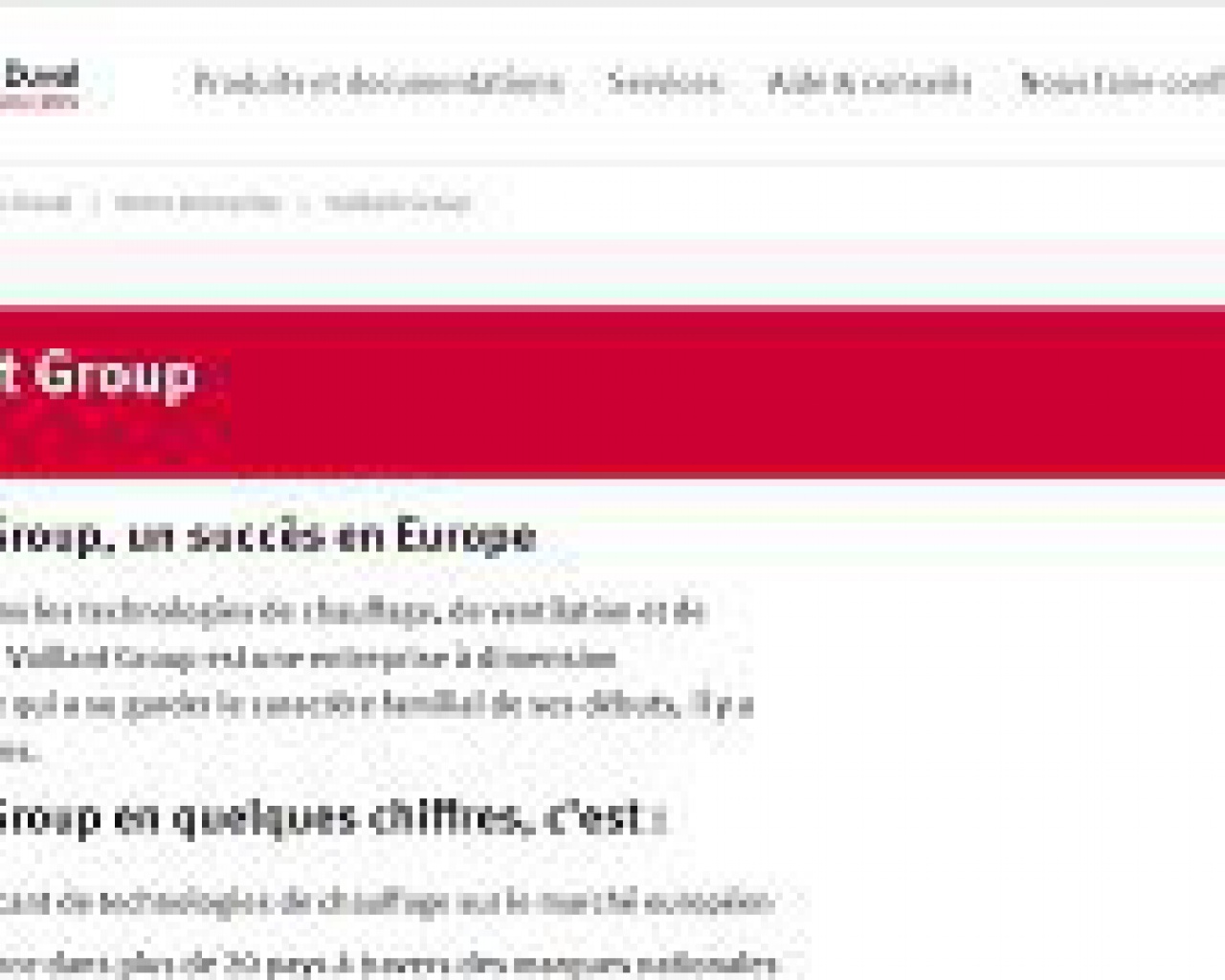 VAILLANT GROUP (SAUNIER DUVAL EAU CHAUDE CHAUFFAGE)