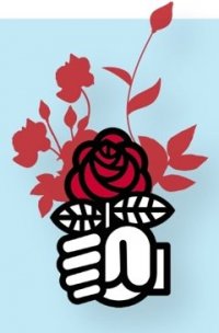 Aller vers un revenu maximal admissible pour favoriser les projets utiles et durables