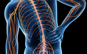 3.	Douleur et lésion ne vont pas forcément de pair (Courtin, Arthur) – relecture