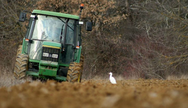 C'est l'automne kabyle, la saison des labours et des semences pour l'indépendance (Contribution)