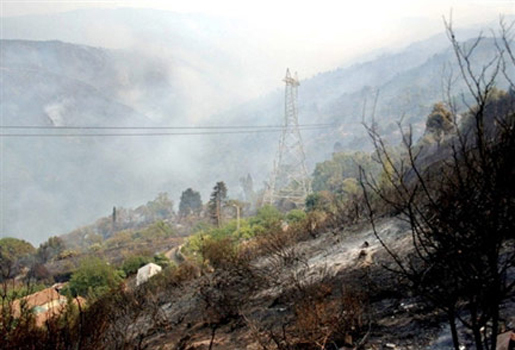 Feux de forêt en Kabylie, été 2010 (Photo : AFP)