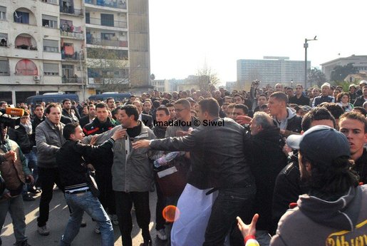 Altercation entre manifestants et jeunes partisans du Chef de l'État algérien Bouteflika le 12 février 2011 (Photo SIWEL)