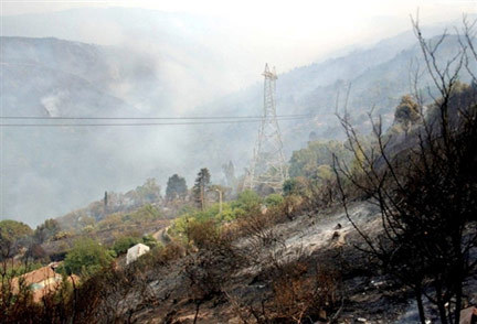 Incendies en Kabylie (Photo : archive AFP)