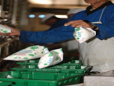 Laiterie Draa Ben Khedda (PH/DR)