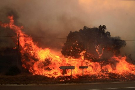 Feu de forêts : un nouvel incendie dans la région des Iwadiyen près des habitations