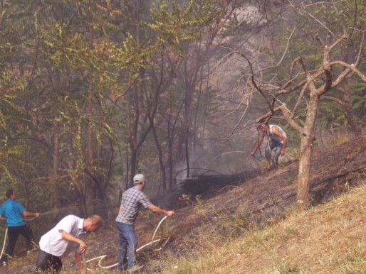 Incendies en Kabylie: les feux de forêts se poursuivent et ravagent plusieurs localités de Tizi-Uzu
