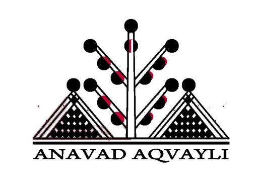 Anavad, Gouvernement provisoire kabyle